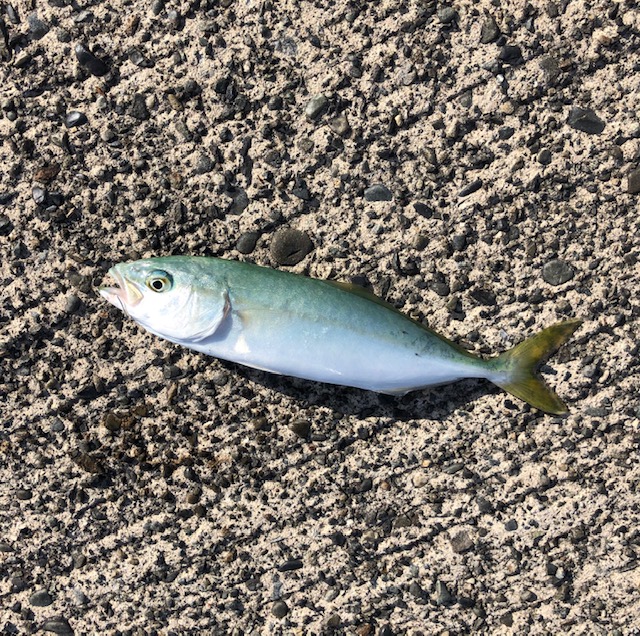 御前崎港 不動産の事ならお任せ下さい 吉田町 牧之原市 島田市